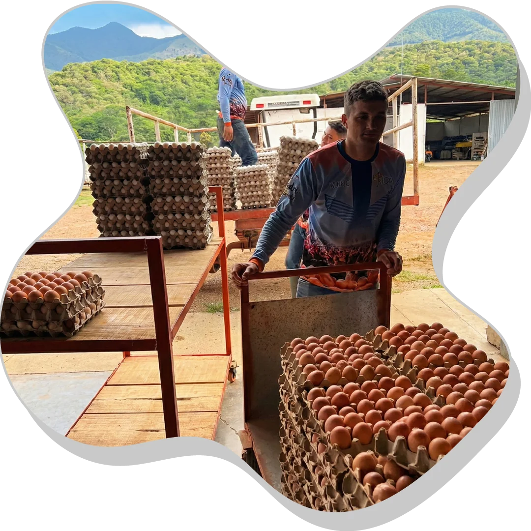 Productores