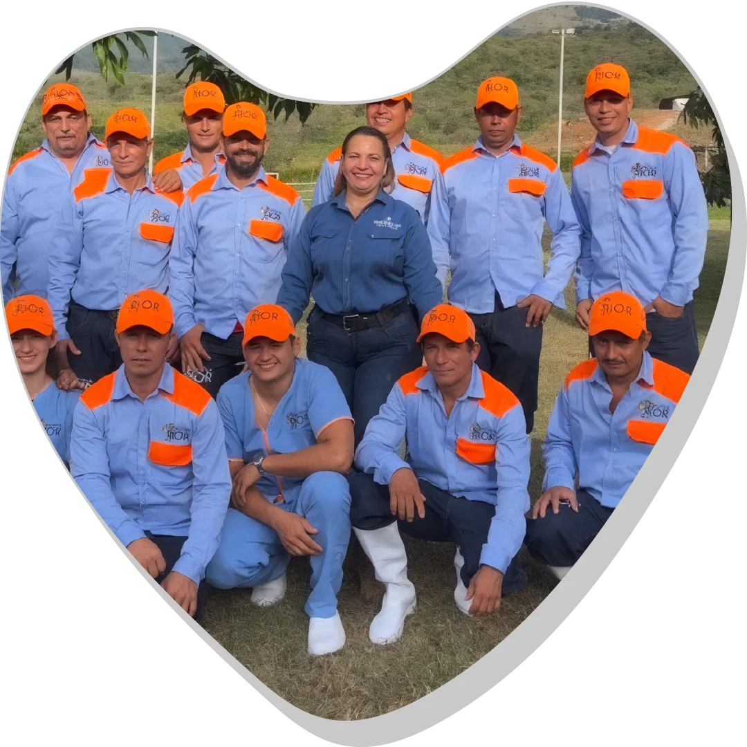 Unidos