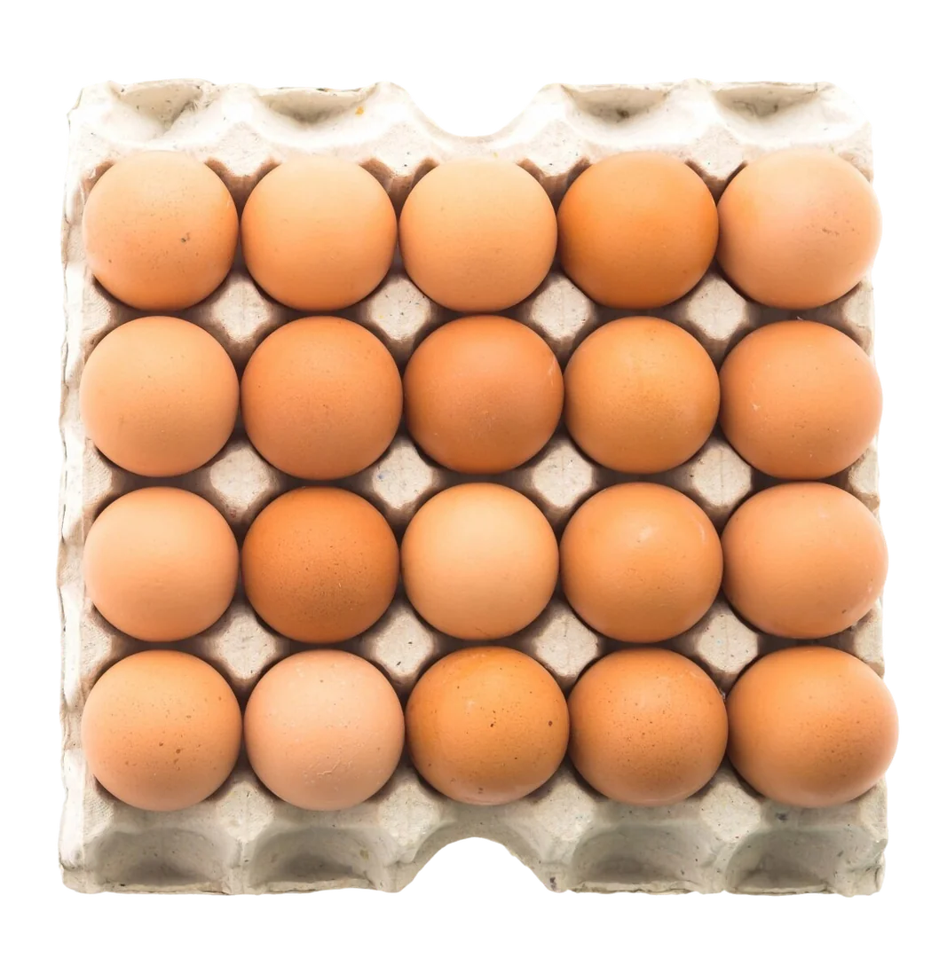 Productos de huevos